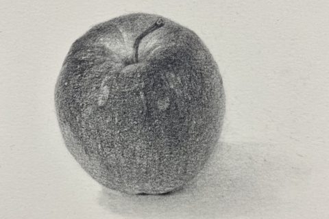 りんごとオレンジのドローイング（drawing） – 絵画ときのこ職人の 